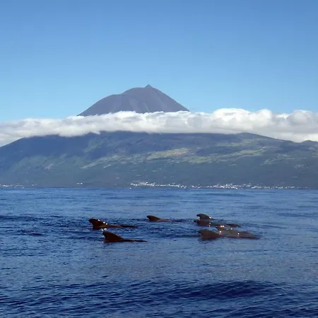 Sea house Sao Roque do Pico